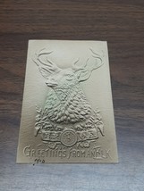 RARE Postcard BPOE Elks GREETINGS FROM AN ELK Embossed - £14.75 GBP