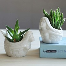 White Ceramic Cactus/Flower Container, Desktop Bonsai Holder for Indoor Plants - £23.32 GBP