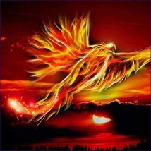 Flight of the Phoenix Reiki - £23.98 GBP