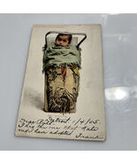 Papoose in Cradle Indigenous North America © 1903 Detroit Photographic P... - $190.28 MXN