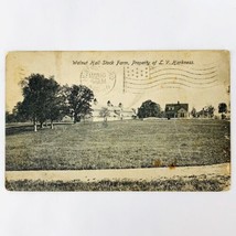 1911 Walnut Hall Stock Farm Lexington Kentucky Postcard Horse Breeding Harkness  - £7.44 GBP