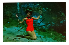 Weeki Wachee Spring of Mermaids Florida Attraction Koppel Cards Postcard 1960s c - £7.85 GBP