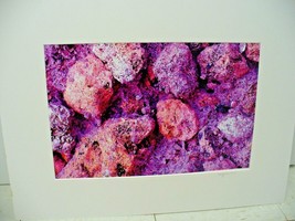 Matted Photography Close Up Pink Purple Crystal Blobs By Larry Santucci 25x19.5 - £19.29 GBP