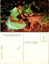 New York(NY) Salamanca Allegany State Park Woman Feeding Fawn Deer VTG Postcard - £7.49 GBP