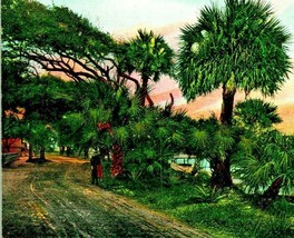 Beach Street at Daytona Indian River Florida FL UNP Unused UDB Postcard 1900s - £3.99 GBP