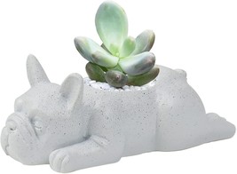 The Ctpeng Small Dog Resin Plant Pot, French Bulldog Succulent Planter, White - £21.51 GBP