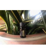 doTERRA Hinoki 5 mL Essential Oil  NEW &amp; SEALED Exp 05/28 - $22.00