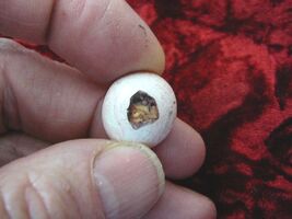 (O-590-48) Orange tan white Mexican fire opal stone in matrix gemstone s... - $10.44