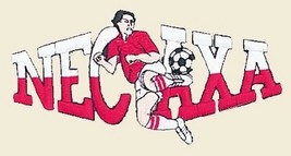 Club Necaxa Patch Liga MX  Mexico Futbol Soccer Los Rayos - £6.86 GBP