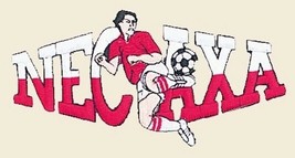 Club Necaxa Patch Liga MX  Mexico Futbol Soccer Los Rayos - $8.59