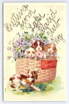 Postcard Greetings From Lake Placid Club New York Glitter Mica Embossed Puppies - £10.00 GBP