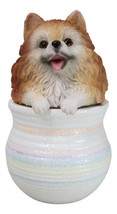 Pet Pomeranian Pom Pom Teacup Puppy Dog Figurine With Glass Eyes Pup In Pot - $24.99