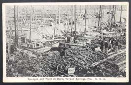 Vintage Tarpon Springs Florida FL Sponges &amp; Fleet at Dock Postcard USA - £6.07 GBP