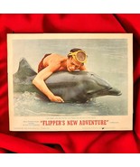 Vintage Lobby Card: Flipper&#39;s New Adventure 11&quot;x14&quot; Lobby Card #6 Luke H... - $49.22