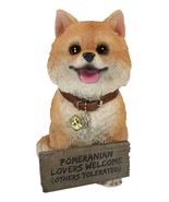 Adorable Pet Pal Pomeranian Puppy Dog With Jingle Collar And Plank Sign ... - $88.88 CAD