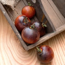 Indigo Rose Tomato Fresh Seeds From US - £11.27 GBP