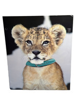 Lion  2-Pocket Paper Folder 12x10” Top Flight - £6.77 GBP