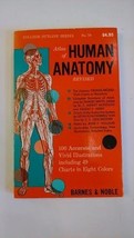 Atlas of Human Anatomy Rev Edition Frohse, Franz - $1.97