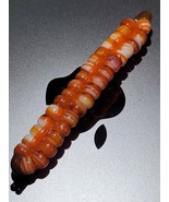Glass Caterpillar barrette.C.2025 - $283.64 MXN