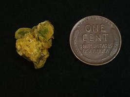 Item image 14