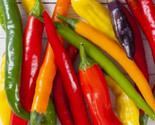 Rainbow Cayenne Pepper Seeds Mix 30 Spicy Hot Pepper Salsa Fast Shipping - $8.99