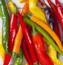Rainbow Cayenne Pepper Seeds Mix 30 Spicy Hot Pepper Salsa Fast Shipping - £7.12 GBP