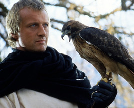 Rutger Hauer in Ladyhawke close up with hawk 16x20 Canvas Giclee - $69.99