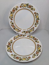 Set of 2 Franciscan Whitestone Ware PICKWICK 10 1/4&quot; Dinner Plates Harve... - £18.38 GBP