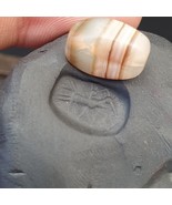 Ancien sceau timbre achéménide-sassanide agate persane pégase très rare - $3,927.47 MXN
