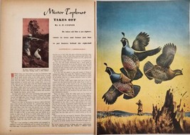 1949 Magazine Picture Quail Hunting California Illustrated by J. Lawrence Murray - £13.87 GBP