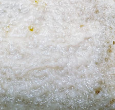 Live Microworms Culture starter 4fl oz  –Perfect First Food for Fry  SUP... - $12.86