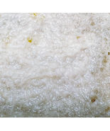 Live Microworms Culture starter 4fl oz  –Perfect First Food for Fry  SUP... - $234.02 MXN