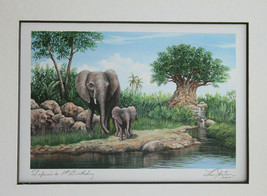 Disney Animal Kingdom Tufani’s 1st Birthday Larry Dotson Signed Print 20... - £42.41 GBP