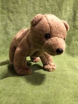 Ty Beanie Babies "Pecan" the Bear 1999 Retired - $6.64