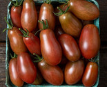 50 + seeds Midnight Pear Tomato Tomatoe Vegetable Garden Edible Canning ... - $8.94