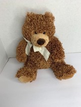 Family Christian Stores Fluffy Bear Plush Stuffed Animal Toy 11.5 in Seated - £7.75 GBP
