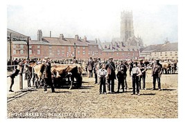 ptc8666 - Yorks&#39; - Cattle Market in the early 1900s, at Doncaster - prin... - $2.80