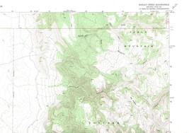 Barley Creek, Nevada 1971 Vintage USGS Map 7.5 Quadrangle Topographic - £18.79 GBP