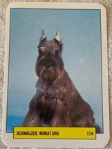 ⭕⭕VTG pocket calendar 1993 DOGS MANIL SCHNAUZER MINIATURE N174 - $83.71 MXN