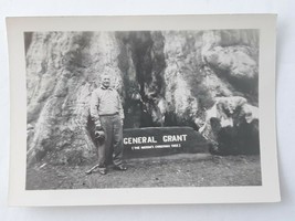 VTG Photo Base of General Grant Tree SIGN Grant Grove Kings Canyon Natl Park CA - £7.72 GBP