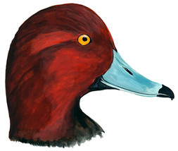 Red Head Duck Head High Quality Printed Vinyl Decal Wall Window Car Sticker - $6.95+