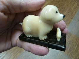(tn-dog-609) baby DOG puppy TAGUA NUT Figurine Carving Vegetable love do... - $15.42