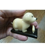 (tn-dog-609) baby DOG puppy TAGUA NUT Figurine Carving Vegetable love do... - €13,05 EUR