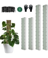 60&quot;/40&quot;/24&quot; Metal Moss Pole, D Shape Sphagnum Moss Pole, Moss Poles for ... - $29.95 CAD
