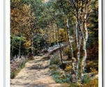 Carriage Road White Mountains Bethleham New Hampshire NH WB Postcard U3 - £2.80 GBP