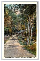 Carriage Road White Mountains Bethleham New Hampshire NH WB Postcard U3 - £2.76 GBP