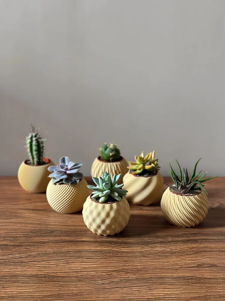Set of 6 Succulent Pots Beige – 3D Printed Mini Planters, Eco PLA, Moder... - $1,025.01 MXN