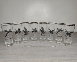 Vintage Federal Glass Sportsman Set of 8 Glasses Highball Ducks Platinum Trim - £47.78 GBP