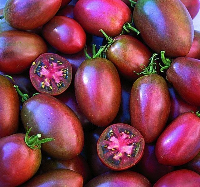 100 seeds Ukrainian Purple Tomato Seeds, Great Sweet Meaty Plum Shaped 3-4'' Lon
