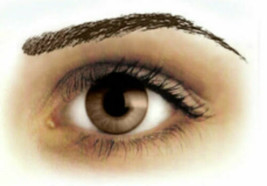 Eyebrows Brown High Arch Tattoos - $4.42